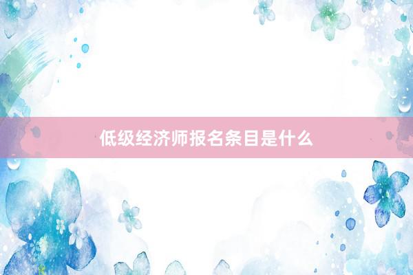 低级经济师报名条目是什么