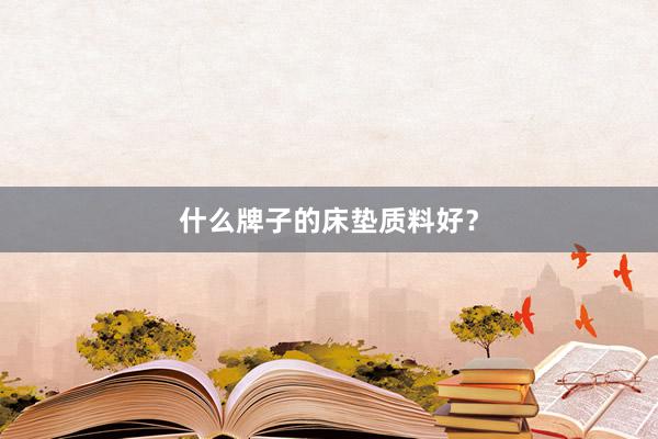 什么牌子的床垫质料好？