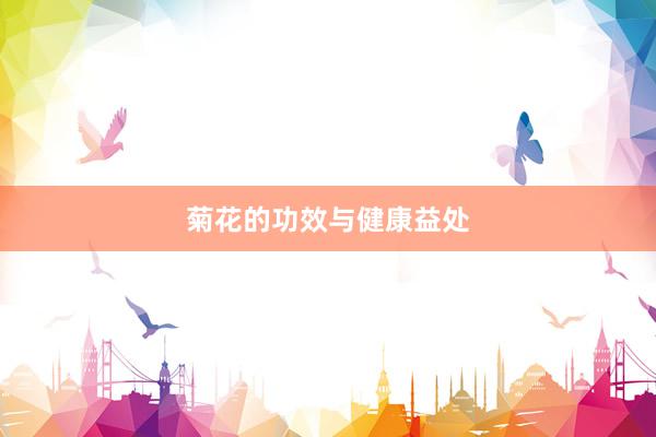 菊花的功效与健康益处